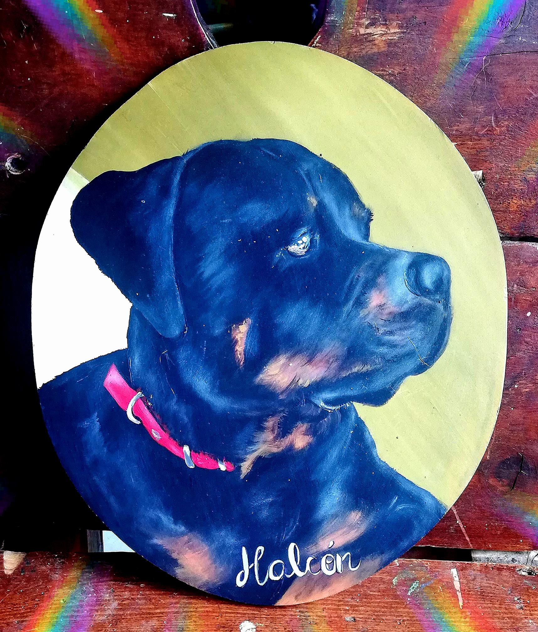 Retratos de mascotas