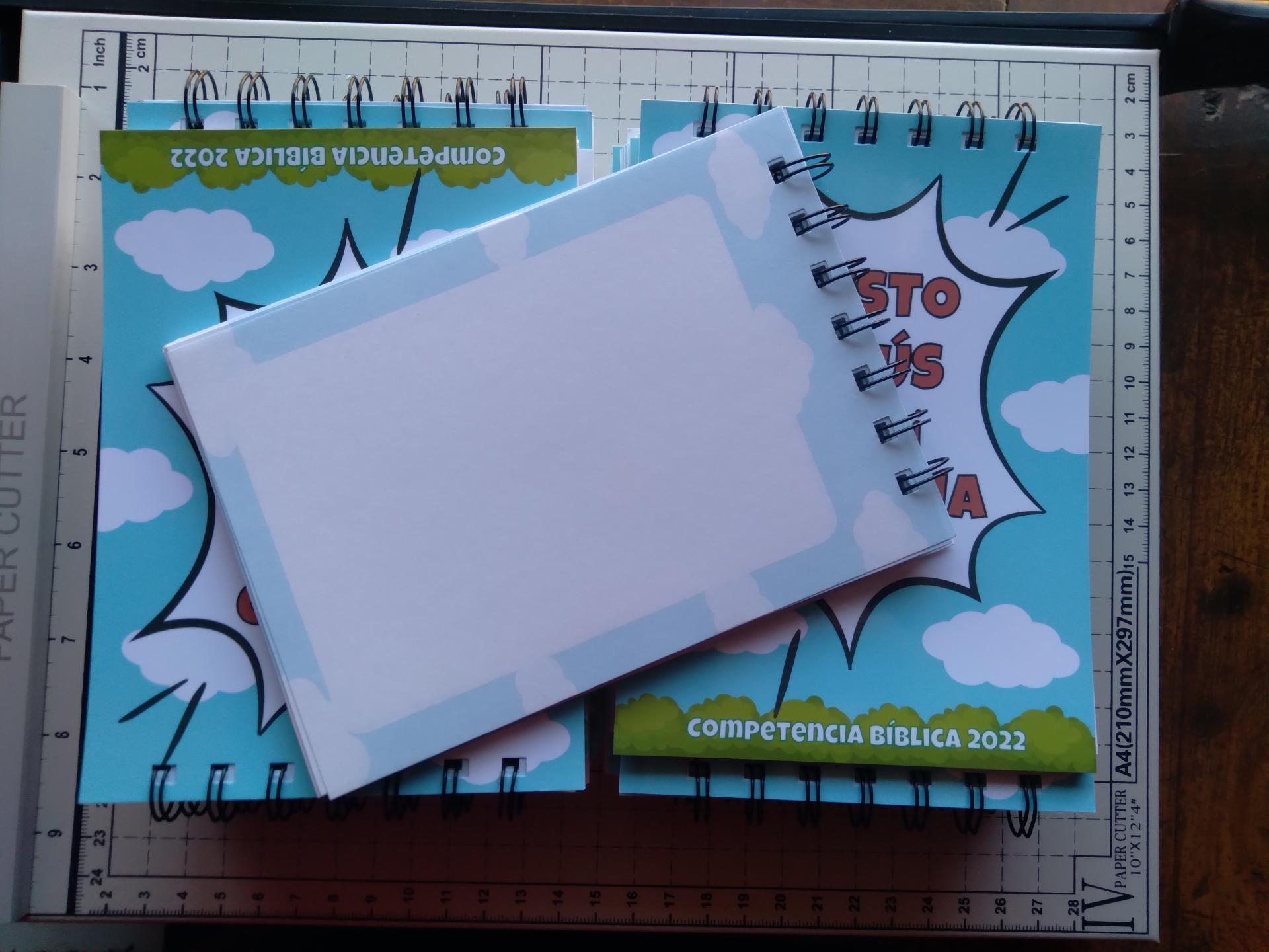 ANOTADORES / LIBRETAS ANILLADOS