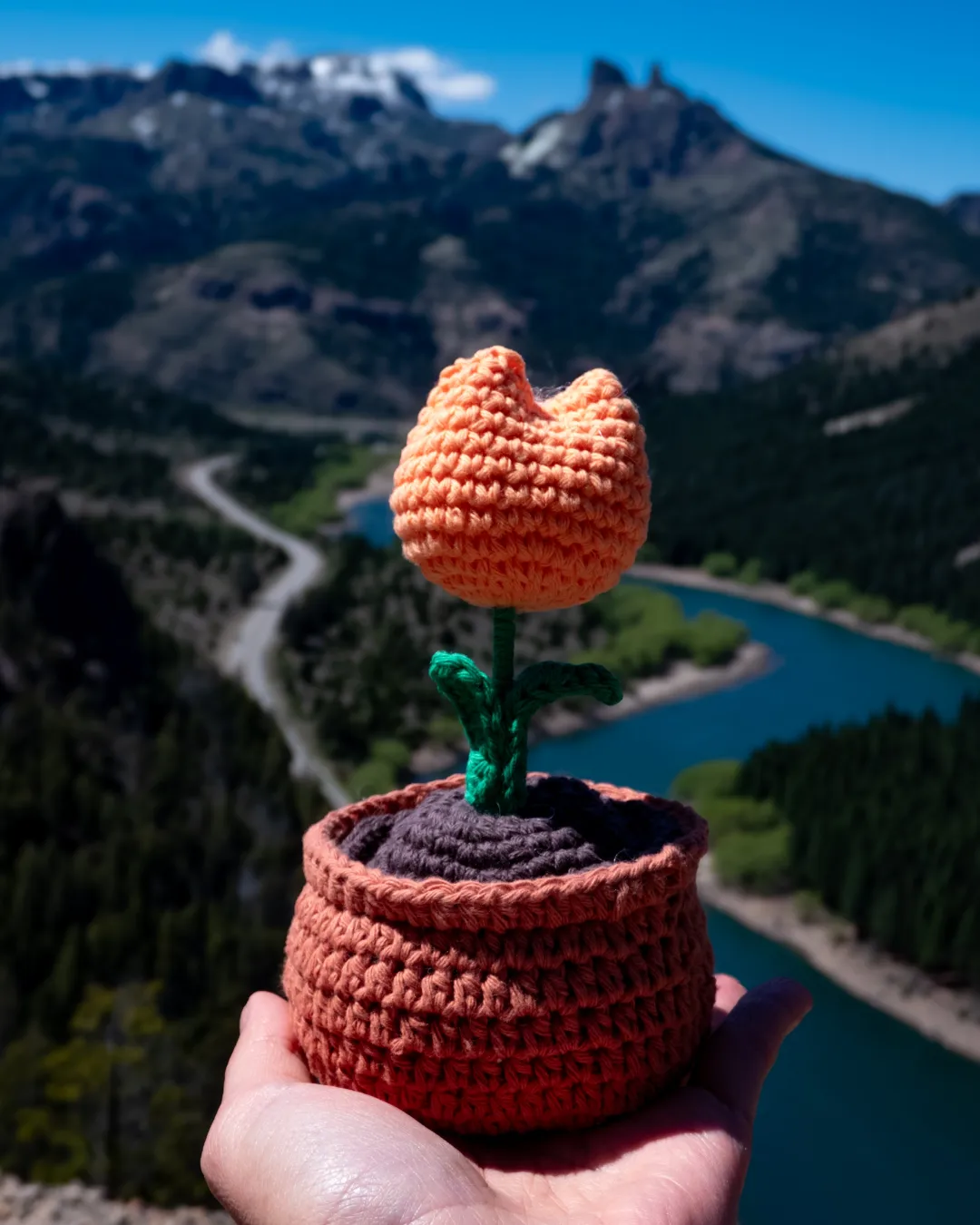 Macetas tejidas a crochet 