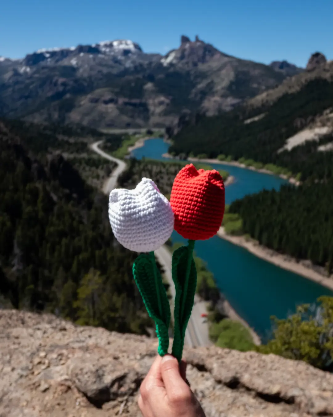 Varas de flores 