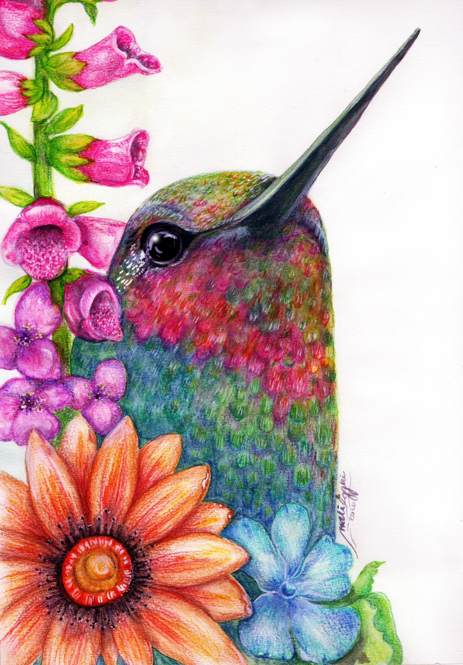 Ilustraciones y cuadros